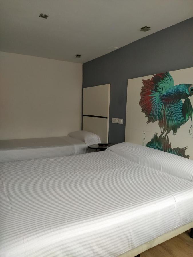 Hostal Mara آكورونيا المظهر الخارجي الصورة